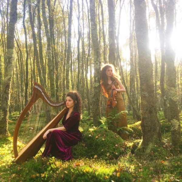 dans la foret enchantée