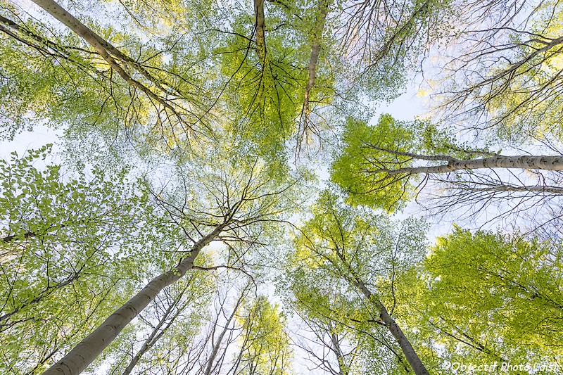 Objectif photo loisir