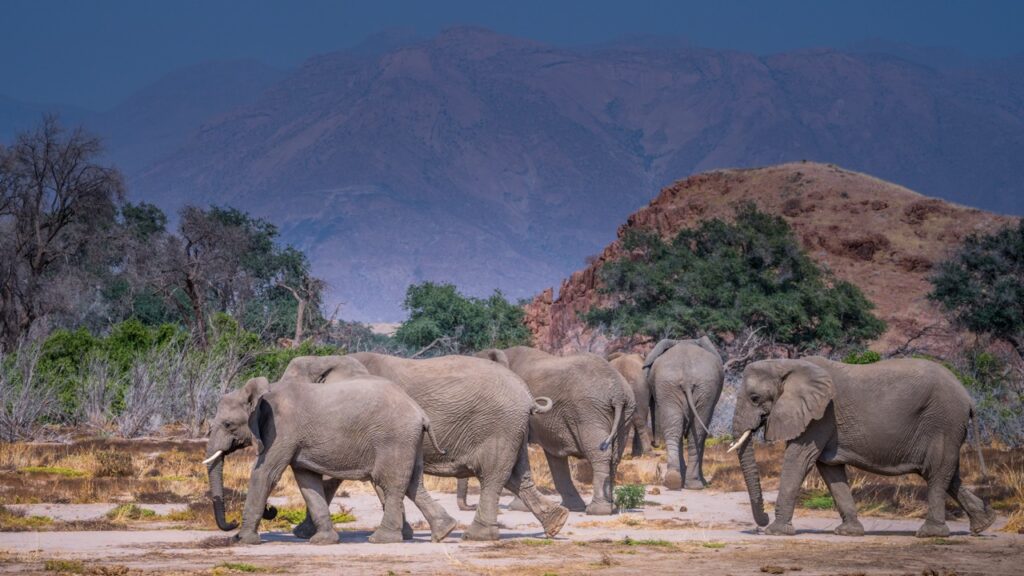 Namibie, exceptionnelle par nature